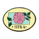 Sticky Image
