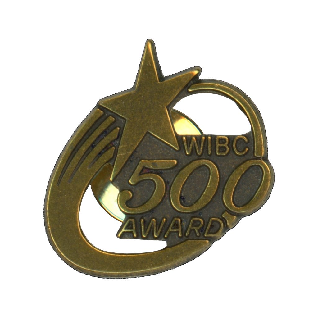 WIBC 500 Award Shooting Star Lapel Pin Front