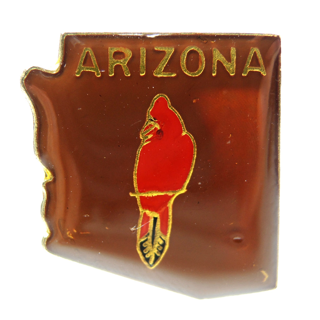 Arizona State Outline Cardinal Lapel Pin